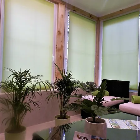 Bartok Ter Panzio Bed & Breakfast Eger