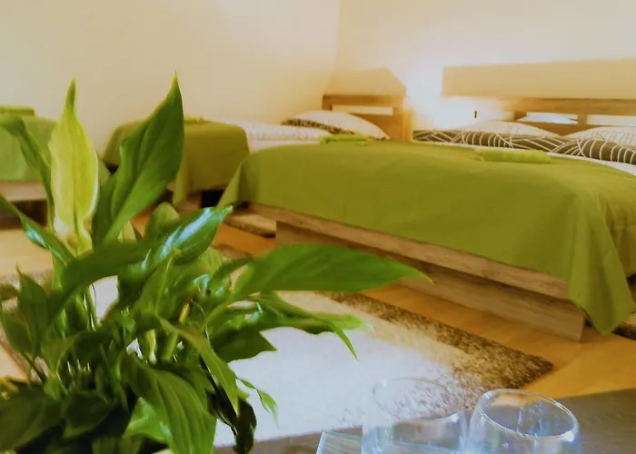 Bartok Ter Panzio Eger